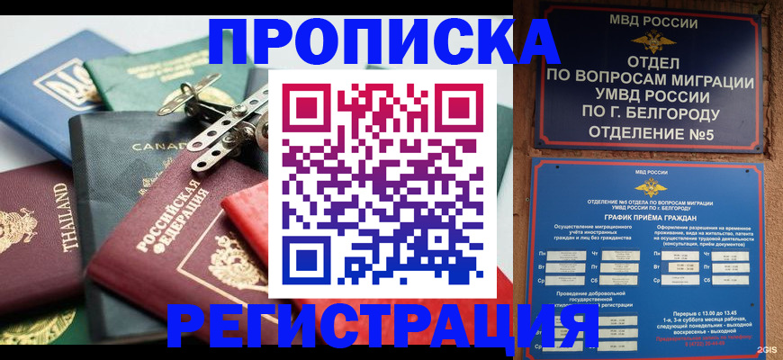 временная регистрация недорого в Каменке